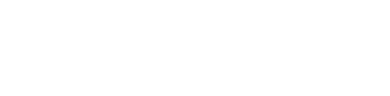 3er Sector